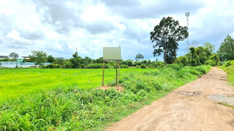 ที่ดินรอบเมือง ร้อยเอ็ด, Roi Et, Rop Muang, Muang Roi Et, Roi Et, , 13,700 sqm, Land For Sale, by The Best Property ทองใบ, 500489522 - DDproperty.com