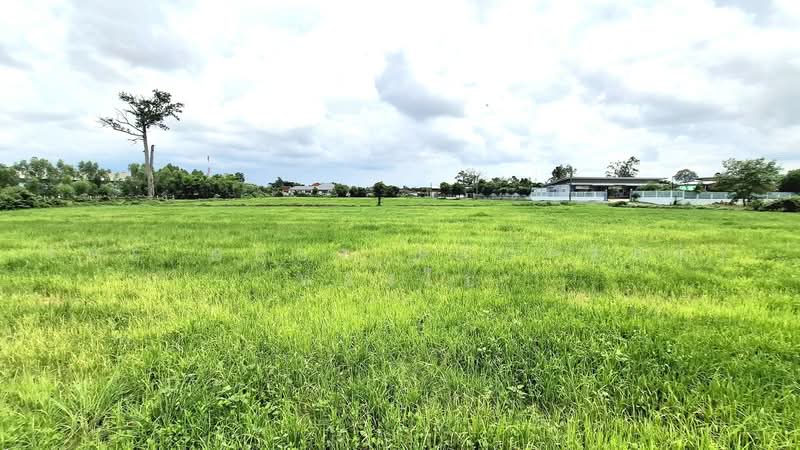 ที่ดินรอบเมือง ร้อยเอ็ด, ร้อยเอ็ด, รอบเมือง, เมืองร้อยเอ็ด, ร้อยเอ็ด, 13,700 ตร.ม., ที่ดิน ขาย, โดย The Best Property ทองใบ, 500489522 - DDproperty.com