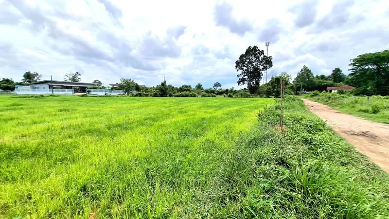 ที่ดินรอบเมือง ร้อยเอ็ด, Roi Et, Rop Muang, Muang Roi Et, Roi Et, , 13,700 sqm, Land For Sale, by The Best Property ทองใบ, 500489522 - DDproperty.com