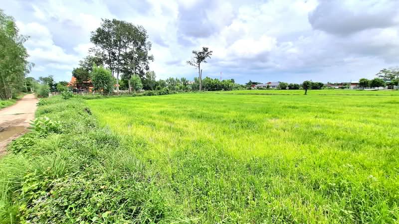 ที่ดินรอบเมือง ร้อยเอ็ด, ร้อยเอ็ด, รอบเมือง, เมืองร้อยเอ็ด, ร้อยเอ็ด, 13,700 ตร.ม., ที่ดิน ขาย, โดย The Best Property ทองใบ, 500489522 - DDproperty.com