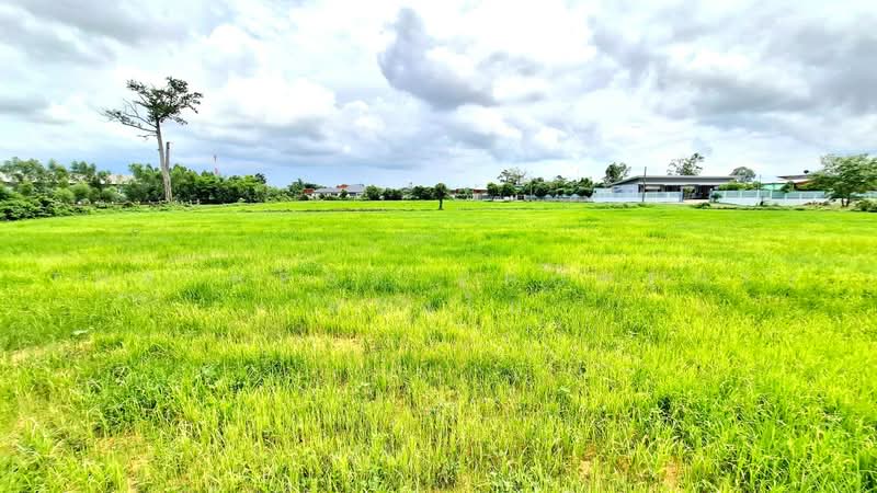 ที่ดินรอบเมือง ร้อยเอ็ด, Roi Et, Rop Muang, Muang Roi Et, Roi Et, , 13,700 sqm, Land For Sale, by The Best Property ทองใบ, 500489522 - DDproperty.com