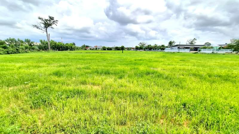 ที่ดินรอบเมือง ร้อยเอ็ด, Roi Et, Rop Muang, Muang Roi Et, Roi Et, , 13,700 sqm, Land For Sale, by The Best Property ทองใบ, 500489522 - DDproperty.com