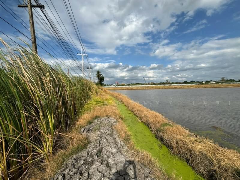 ที่ดินเปล่า 10 ไร่ 163 ตร.ว. ที่ดินแปลงสวย ทำเลศักยภาพ ใกล้ I am Bean Roasting Loft(ไทรน้อย), Nonthaburi, ถนนปทุมธานี-บางเลน, Khlong Khwang, Sai Noi, Nonthaburi, , 16,652 sqm, Land For Sale, by คุณ ณัชชา มณีจันทร์ (นุช), 500489558 - DDproperty.com