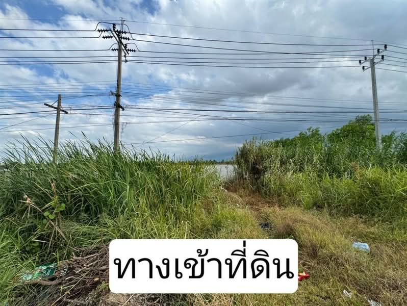 ที่ดินเปล่า 10 ไร่ 163 ตร.ว. ที่ดินแปลงสวย ทำเลศักยภาพ ใกล้ I am Bean Roasting Loft(ไทรน้อย), นนทบุรี, ถนนปทุมธานี-บางเลน, คลองขวาง, ไทรน้อย, นนทบุรี, 16,652 ตร.ม., ที่ดิน ขาย, โดย คุณ ณัชชา มณีจันทร์ (นุช), 500489558 - DDproperty.com