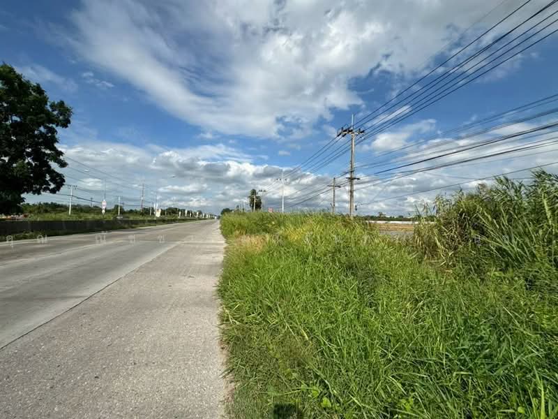 ที่ดินเปล่า 10 ไร่ 163 ตร.ว. ที่ดินแปลงสวย ทำเลศักยภาพ ใกล้ I am Bean Roasting Loft(ไทรน้อย), นนทบุรี, ถนนปทุมธานี-บางเลน, คลองขวาง, ไทรน้อย, นนทบุรี, 16,652 ตร.ม., ที่ดิน ขาย, โดย คุณ ณัชชา มณีจันทร์ (นุช), 500489558 - DDproperty.com