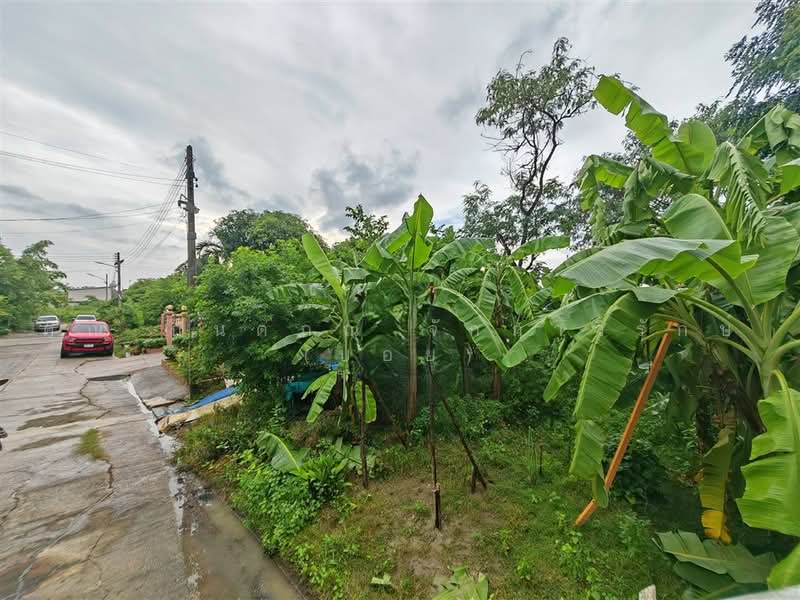 ที่ดินเปล่า 97 ตร.ว. ที่ดิน หมู่บ้านมหามกุฏ พุทธมณฑล นครปฐม, นครปฐม, ถนนบรมราชชนนี, ศาลายา, พุทธมณฑล, นครปฐม, 388 ตร.ม., ที่ดิน ขาย, โดย คุณ กันตภณ จักกาวิรักษ์ (บอย), 500489564 - DDproperty.com