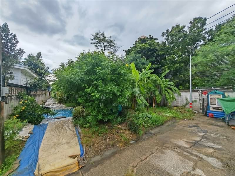 ที่ดินเปล่า 97 ตร.ว. ที่ดิน หมู่บ้านมหามกุฏ พุทธมณฑล นครปฐม, นครปฐม, ถนนบรมราชชนนี, ศาลายา, พุทธมณฑล, นครปฐม, 388 ตร.ม., ที่ดิน ขาย, โดย คุณ กันตภณ จักกาวิรักษ์ (บอย), 500489564 - DDproperty.com