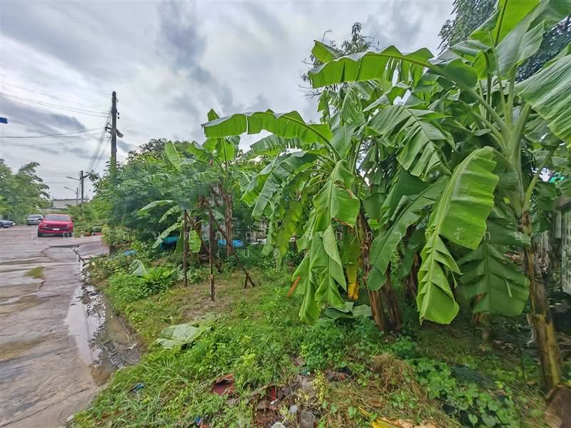ที่ดินเปล่า 97 ตร.ว. ที่ดิน หมู่บ้านมหามกุฏ พุทธมณฑล นครปฐม, นครปฐม, ถนนบรมราชชนนี, ศาลายา, พุทธมณฑล, นครปฐม, 388 ตร.ม., ที่ดิน ขาย, โดย คุณ กันตภณ จักกาวิรักษ์ (บอย), 500489564 - DDproperty.com