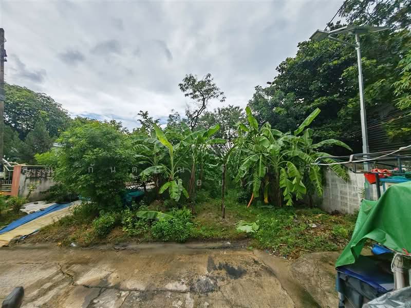 ที่ดินเปล่า 97 ตร.ว. ที่ดิน หมู่บ้านมหามกุฏ พุทธมณฑล นครปฐม, Nakhon Pathom, ถนนบรมราชชนนี, Salaya, Phuttha Mon Thon, Nakhon Pathom, , 388 sqm, Land For Sale, by คุณ กันตภณ จักกาวิรักษ์ (บอย), 500489564 - DDproperty.com