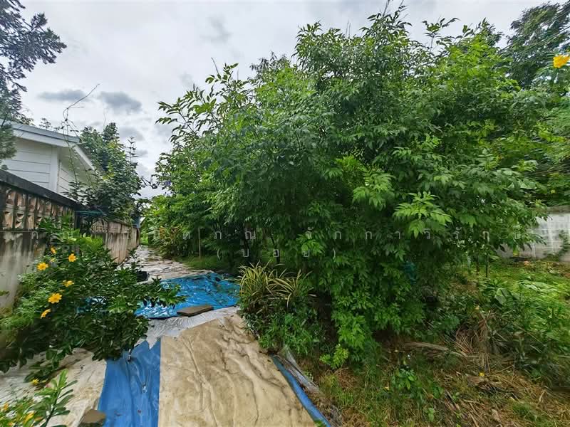 ที่ดินเปล่า 97 ตร.ว. ที่ดิน หมู่บ้านมหามกุฏ พุทธมณฑล นครปฐม, นครปฐม, ถนนบรมราชชนนี, ศาลายา, พุทธมณฑล, นครปฐม, 388 ตร.ม., ที่ดิน ขาย, โดย คุณ กันตภณ จักกาวิรักษ์ (บอย), 500489564 - DDproperty.com