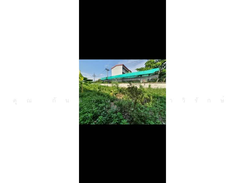 ที่ดินเปล่า 97 ตร.ว. ที่ดิน หมู่บ้านมหามกุฏ พุทธมณฑล นครปฐม, Nakhon Pathom, ถนนบรมราชชนนี, Salaya, Phuttha Mon Thon, Nakhon Pathom, , 388 sqm, Land For Sale, by คุณ กันตภณ จักกาวิรักษ์ (บอย), 500489564 - DDproperty.com