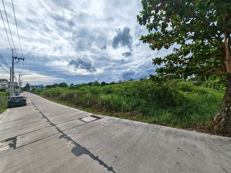 ที่ดินเปล่า 588 ตร.ว. ที่ดิน ใกล้สราญรมย์ รีสอร์ต ซอยบางกระทึก12/3 นครปฐม, Nakhon Pathom, ถนนพุทธมณฑล สาย4, Bang Krathuk, Sam Phran, Nakhon Pathom, , 2,352 sqm, Land For Sale, by คุณ กันตภณ จักกาวิรักษ์ (บอย), 500489570 - DDproperty.com