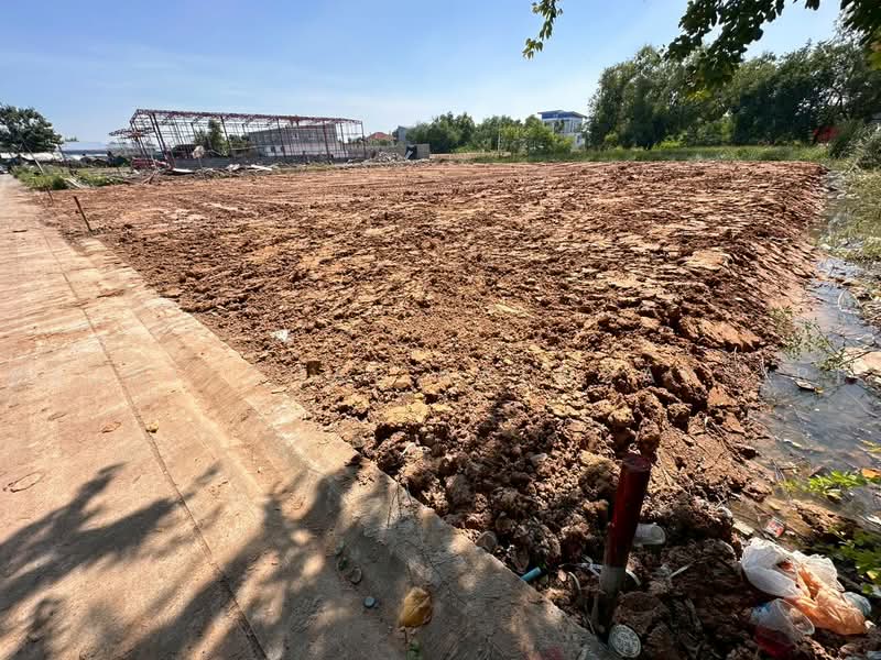 ขายที่ดิน 329 ไอยรา26 ต. คลองสอง อ. คลองหลวง จ.ปทุมธานี, ปทุมธานี, คลองหนึ่ง, คลองหลวง, ปทุมธานี, 440 ตร.ม., ที่ดิน ขาย, โดย Pichitchai Kaensaksiri, 500489577 - DDproperty.com
