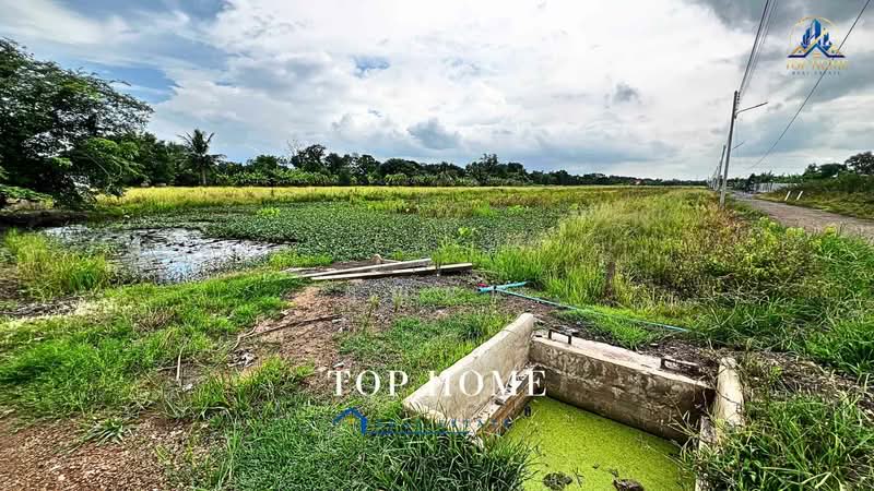**ขายด่วน! ที่ดิน 1 ไร่ 54.2 ตร.ว. หนองเสือ ปทุมธานี**, ปทุมธานี, บึงบา, หนองเสือ, ปทุมธานี, 1,817 ตร.ม., ที่ดิน ขาย, โดย คุณนับ, 500489585 - DDproperty.com