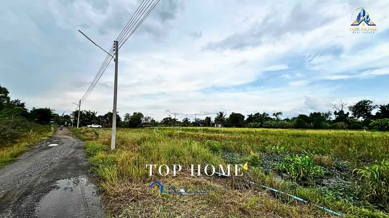 **ขายด่วน! ที่ดิน 1 ไร่ 54.2 ตร.ว. หนองเสือ ปทุมธานี**, Pathum Thani, Bung Ba, Nong Sua, Pathum Thani, , 1,817 sqm, Land For Sale, by คุณนับ, 500489585 - DDproperty.com