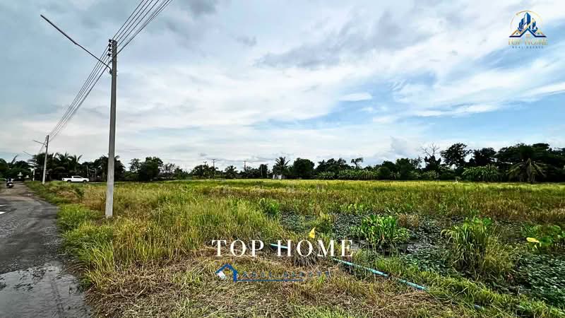 **ขายด่วน! ที่ดิน 1 ไร่ 54.2 ตร.ว. หนองเสือ ปทุมธานี**, Pathum Thani, Bung Ba, Nong Sua, Pathum Thani, , 1,817 sqm, Land For Sale, by คุณนับ, 500489585 - DDproperty.com
