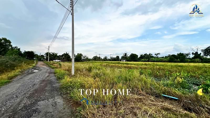 **ขายด่วน! ที่ดิน 1 ไร่ 54.2 ตร.ว. หนองเสือ ปทุมธานี**, Pathum Thani, Bung Ba, Nong Sua, Pathum Thani, , 1,817 sqm, Land For Sale, by คุณนับ, 500489585 - DDproperty.com