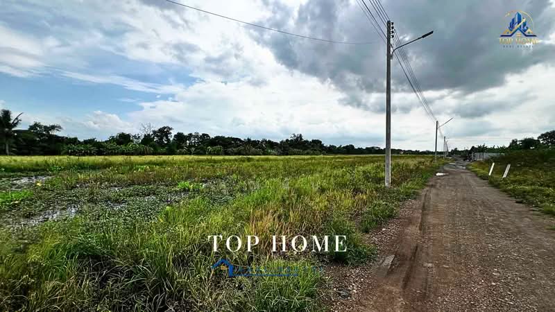**ขายด่วน! ที่ดิน 1 ไร่ 54.2 ตร.ว. หนองเสือ ปทุมธานี**, Pathum Thani, Bung Ba, Nong Sua, Pathum Thani, , 1,817 sqm, Land For Sale, by คุณนับ, 500489585 - DDproperty.com