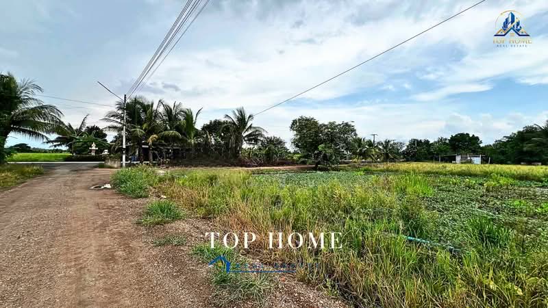 **ขายด่วน! ที่ดิน 1 ไร่ 54.2 ตร.ว. หนองเสือ ปทุมธานี**, Pathum Thani, Bung Ba, Nong Sua, Pathum Thani, , 1,817 sqm, Land For Sale, by คุณนับ, 500489585 - DDproperty.com