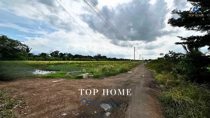 **ขายด่วน! ที่ดิน 1 ไร่ 54.2 ตร.ว. หนองเสือ ปทุมธานี**, Pathum Thani, Bung Ba, Nong Sua, Pathum Thani, , 1,817 sqm, Land For Sale, by คุณนับ, 500489585 - DDproperty.com