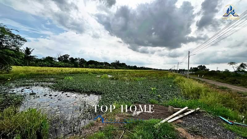 **ขายด่วน! ที่ดิน 1 ไร่ 54.2 ตร.ว. หนองเสือ ปทุมธานี**, Pathum Thani, Bung Ba, Nong Sua, Pathum Thani, , 1,817 sqm, Land For Sale, by คุณนับ, 500489585 - DDproperty.com