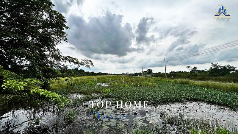 **ขายด่วน! ที่ดิน 1 ไร่ 54.2 ตร.ว. หนองเสือ ปทุมธานี**, Pathum Thani, Bung Ba, Nong Sua, Pathum Thani, , 1,817 sqm, Land For Sale, by คุณนับ, 500489585 - DDproperty.com