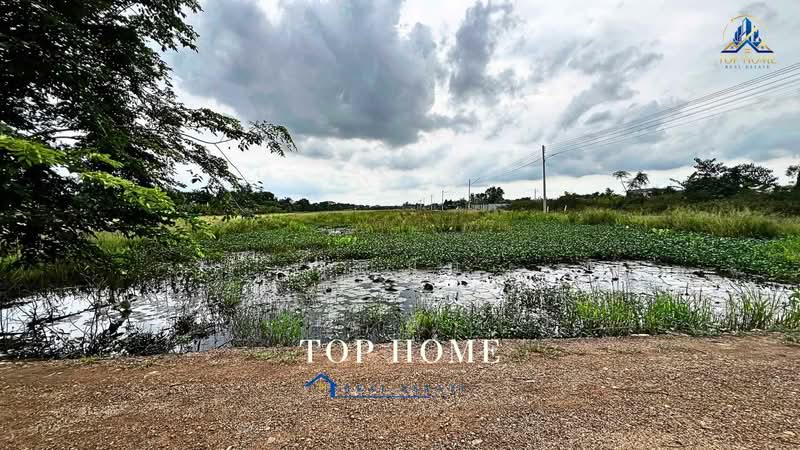 **ขายด่วน! ที่ดิน 1 ไร่ 54.2 ตร.ว. หนองเสือ ปทุมธานี**, Pathum Thani, Bung Ba, Nong Sua, Pathum Thani, , 1,817 sqm, Land For Sale, by คุณนับ, 500489585 - DDproperty.com