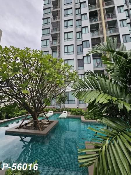Q House Sukhumvit 79 : คิวเฮาส์ สุขุมวิท 79, กรุงเทพ, 2059 ถนนสุขุมวิท, พระโขนงเหนือ, วัฒนา, กรุงเทพ, 45 ตร.ม., คอนโด ให้เช่า, โดย Susira Preuksawun, 500489589 - DDproperty.com