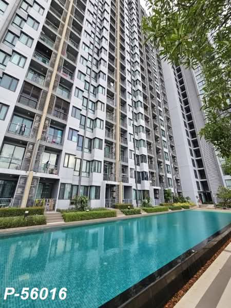 Q House Sukhumvit 79, Bangkok, 2059 Sukhumvit Road, Phra Kanong Nua, Watthana, Bangkok, 2 Bedrooms, 45 sqm, Condo For Rent, by Susira Preuksawun, 500489589 - DDproperty.com