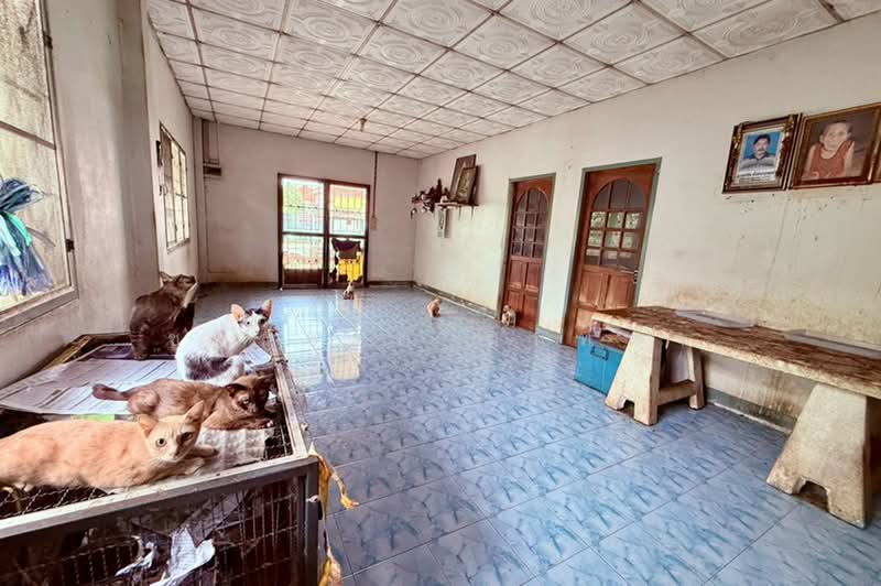 ซอยคลองหกตะวันออก 68, Pathum Thani, Khlong Hok, Khlong Luang, Pathum Thani, 2 Bedrooms, 272 sqm, Single Detached House For Sale, by ชนะชาติ นนท์ตา, 500489596 - DDproperty.com