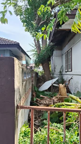 หมู่บ้านมิตรประชา บางบัวทอง, นนทบุรี, บางรักพัฒนา, บางบัวทอง, นนทบุรี, 100 ตร.ม., บ้านเดี่ยว ขาย, โดย The Best Property สุจินตน์, 500489609 - DDproperty.com