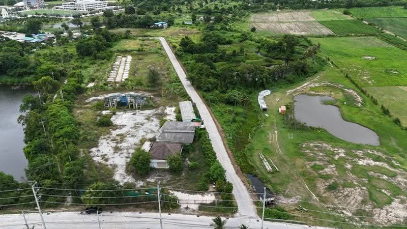 Land for sale next to Motorway 7, Bang Saen, 37 rai, Chon Buri (Pattaya), Nong Khang Khok, Muang Chon Buri, Chon Buri (Pattaya), , 59,200 sqm, Land For Sale, by ตะวัน ขันเงิน, 500489615 - DDproperty.com