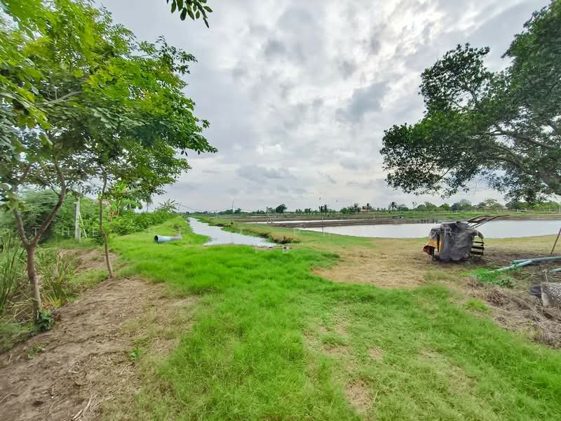 ที่ดินบ้านโพธิ์ ฉะเชิงเทรา, ฉะเชิงเทรา, ลาดขวาง, บ้านโพธิ์, ฉะเชิงเทรา, 63,752 ตร.ม., ที่ดิน ขาย, โดย The Best Property โบ, 500489619 - DDproperty.com