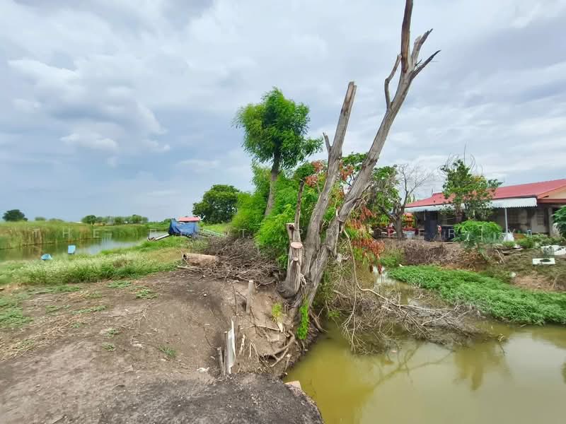 ที่ดินบ้านโพธิ์ ฉะเชิงเทรา, Chachoengsao, Lat Khwang, Ban Pho, Chachoengsao, , 63,752 sqm, Land For Sale, by The Best Property โบ, 500489619 - DDproperty.com