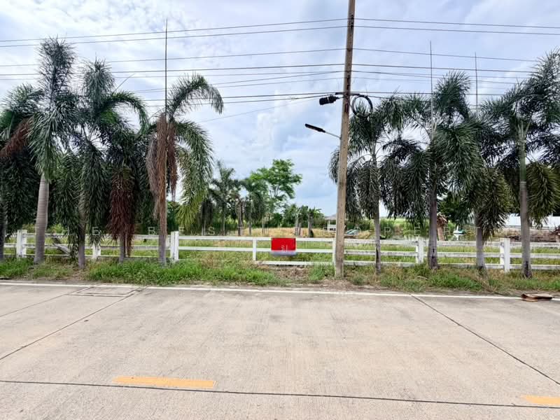 ที่ดินหนองเสือ ปทุมธานี, ปทุมธานี, บึงบอน, หนองเสือ, ปทุมธานี, 3,200 ตร.ม., ที่ดิน ขาย, โดย The Best Property โย, 500489640 - DDproperty.com