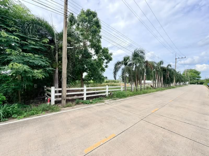 ที่ดินหนองเสือ ปทุมธานี, ปทุมธานี, บึงบอน, หนองเสือ, ปทุมธานี, 3,200 ตร.ม., ที่ดิน ขาย, โดย The Best Property โย, 500489640 - DDproperty.com