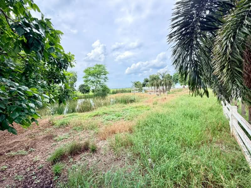 ที่ดินหนองเสือ ปทุมธานี, ปทุมธานี, บึงบอน, หนองเสือ, ปทุมธานี, 3,200 ตร.ม., ที่ดิน ขาย, โดย The Best Property โย, 500489640 - DDproperty.com