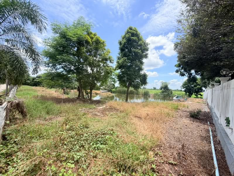 ที่ดินหนองเสือ ปทุมธานี, ปทุมธานี, บึงบอน, หนองเสือ, ปทุมธานี, 3,200 ตร.ม., ที่ดิน ขาย, โดย The Best Property โย, 500489640 - DDproperty.com