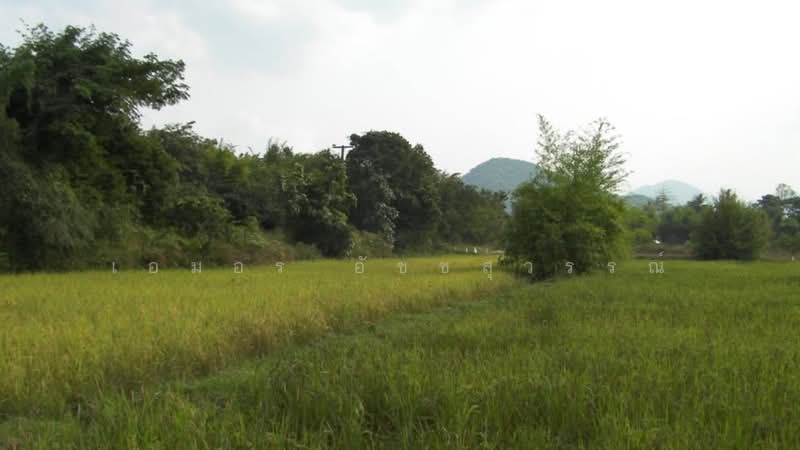 ท่าตะคร้อ, Phetchaburi, Tha Ta Kraw, Nong Ya Plong, Phetchaburi, , 18,864 sqm, Land For Sale, by เอมอร อัชชสุวรรณ์, 500489670 - DDproperty.com