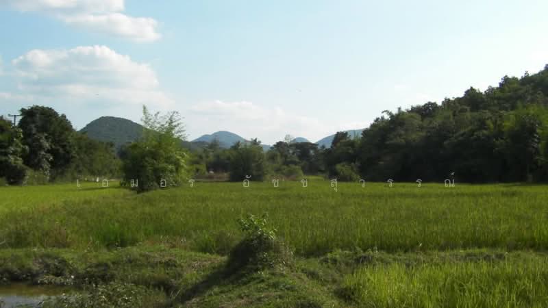 ท่าตะคร้อ, เพชรบุรี, ท่าตะคร้อ, หนองหญ้าปล้อง, เพชรบุรี, 18,864 ตร.ม., ที่ดิน ขาย, โดย เอมอร อัชชสุวรรณ์, 500489670 - DDproperty.com