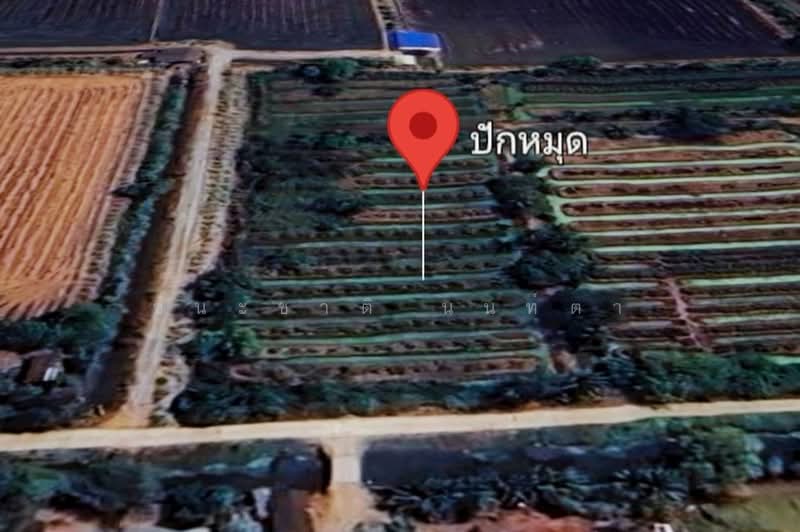 ใกล้วัดบางพระ, นครปฐม, บางระกำ, บางเลน, นครปฐม, 864 ตร.ม., ที่ดิน ขาย, โดย ชนะชาติ นนท์ตา, 500489680 - DDproperty.com