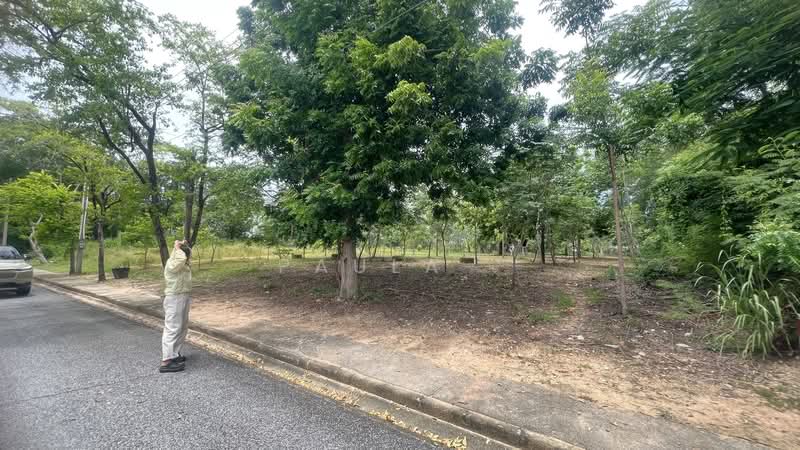หมู่บ้านปัญญารีสอร์ท, Chon Buri (Pattaya), Bang Phra, Si Racha, Chon Buri (Pattaya), , 1,616 sqm, Land For Sale, by Paula ., 500489692 - DDproperty.com