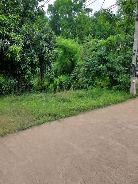 ที่ดินตะพานหิน พิจิตร, Phichit, Huai Ket, Taphan Hin, Phichit, , 5,686 sqm, Land For Sale, by The Best Property ข้าว, 500489718 - DDproperty.com
