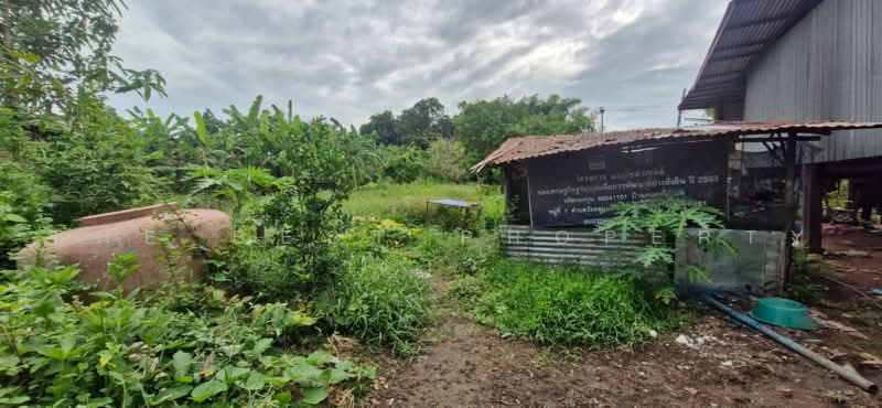 ที่ดินตะพานหิน พิจิตร, พิจิตร, ห้วยเกตุ, ตะพานหิน, พิจิตร, 5,686 ตร.ม., ที่ดิน ขาย, โดย The Best Property ข้าว, 500489718 - DDproperty.com
