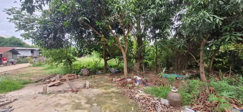 ที่ดินตะพานหิน พิจิตร, Phichit, Huai Ket, Taphan Hin, Phichit, , 5,686 sqm, Land For Sale, by The Best Property ข้าว, 500489718 - DDproperty.com