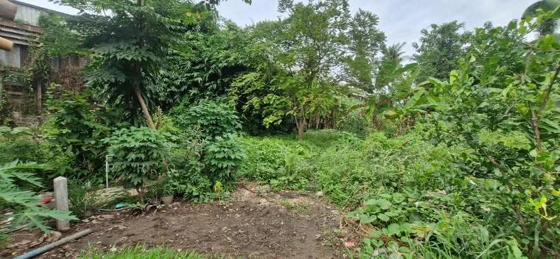 ที่ดินตะพานหิน พิจิตร, Phichit, Huai Ket, Taphan Hin, Phichit, , 5,686 sqm, Land For Sale, by The Best Property ข้าว, 500489718 - DDproperty.com