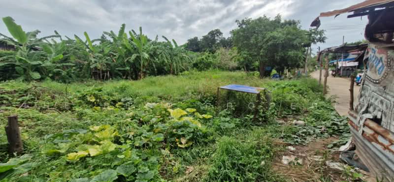 ที่ดินตะพานหิน พิจิตร, Phichit, Huai Ket, Taphan Hin, Phichit, , 5,686 sqm, Land For Sale, by The Best Property ข้าว, 500489718 - DDproperty.com
