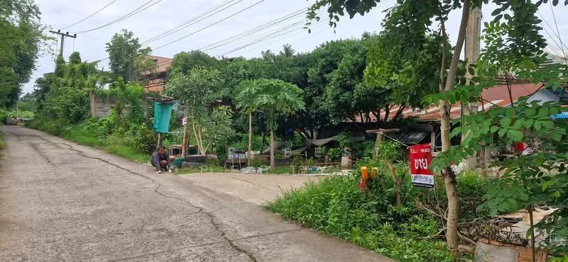 ที่ดินตะพานหิน พิจิตร, Phichit, Huai Ket, Taphan Hin, Phichit, , 5,686 sqm, Land For Sale, by The Best Property ข้าว, 500489718 - DDproperty.com