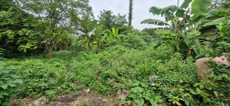ที่ดินตะพานหิน พิจิตร, Phichit, Huai Ket, Taphan Hin, Phichit, , 5,686 sqm, Land For Sale, by The Best Property ข้าว, 500489718 - DDproperty.com