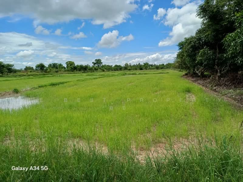 ที่ดินสากเหล็ก พิจิตร, พิจิตร, วังทับไทร, สากเหล็ก, พิจิตร, 44,996 ตร.ม., ที่ดิน ขาย, โดย The Best Property อ้อ, 500489721 - DDproperty.com